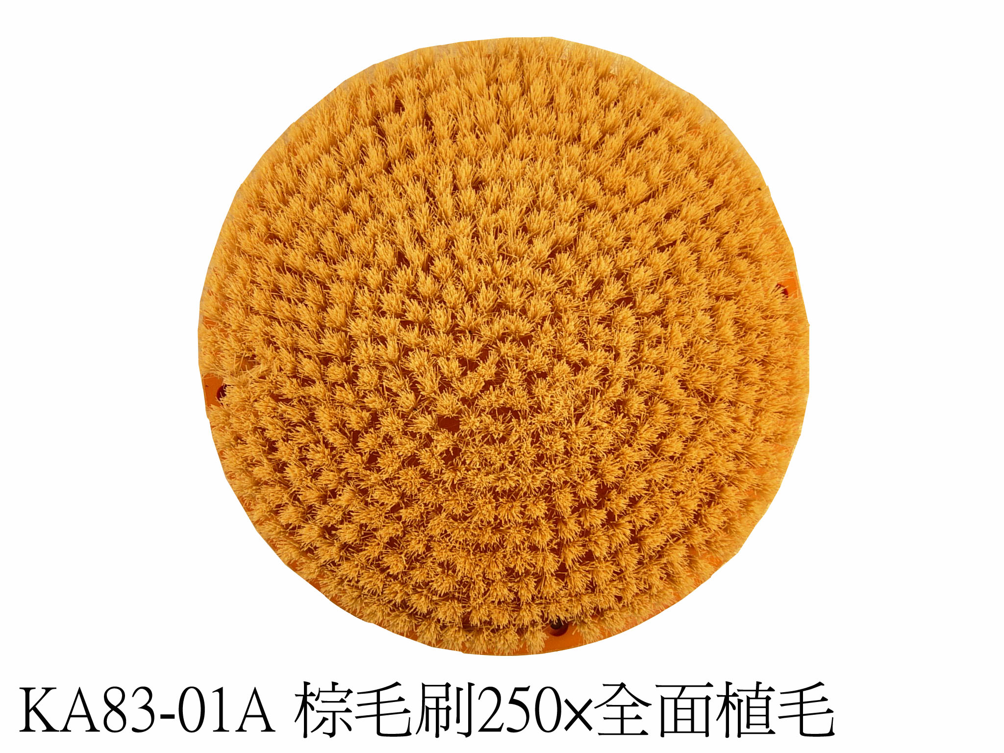 棕毛刷250φ全面植毛